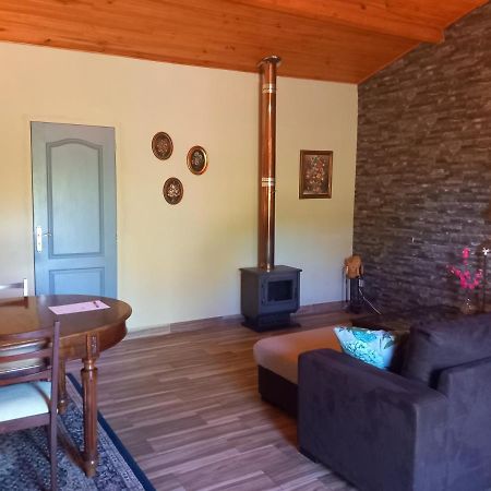 Appartement O Ninho Do Rei à Vila de Rei Extérieur photo