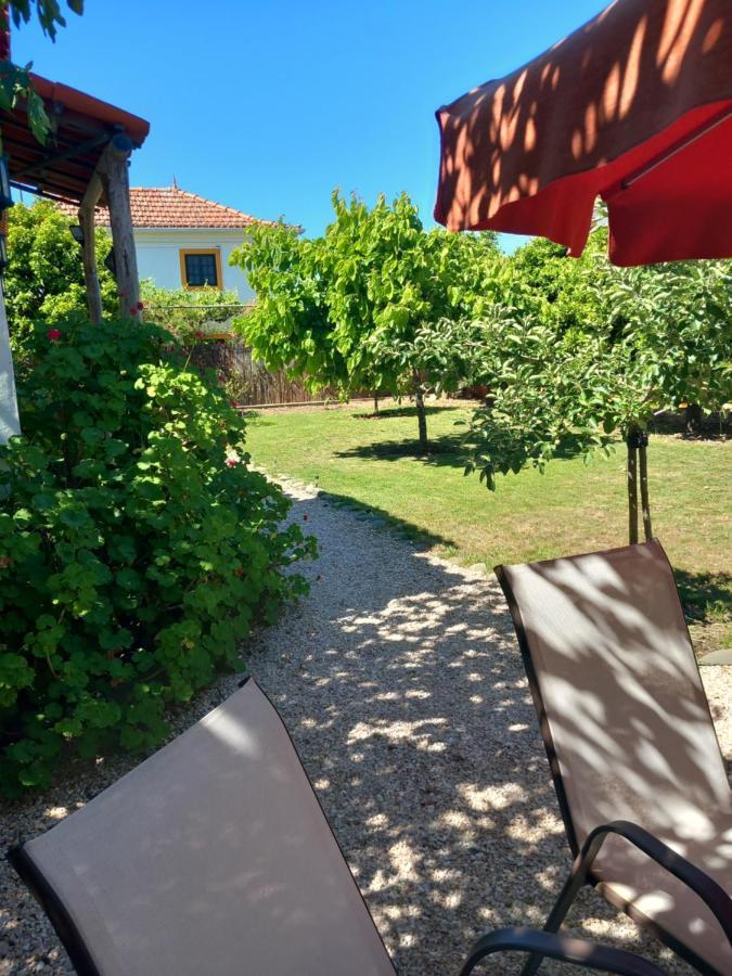Appartement O Ninho Do Rei à Vila de Rei Extérieur photo