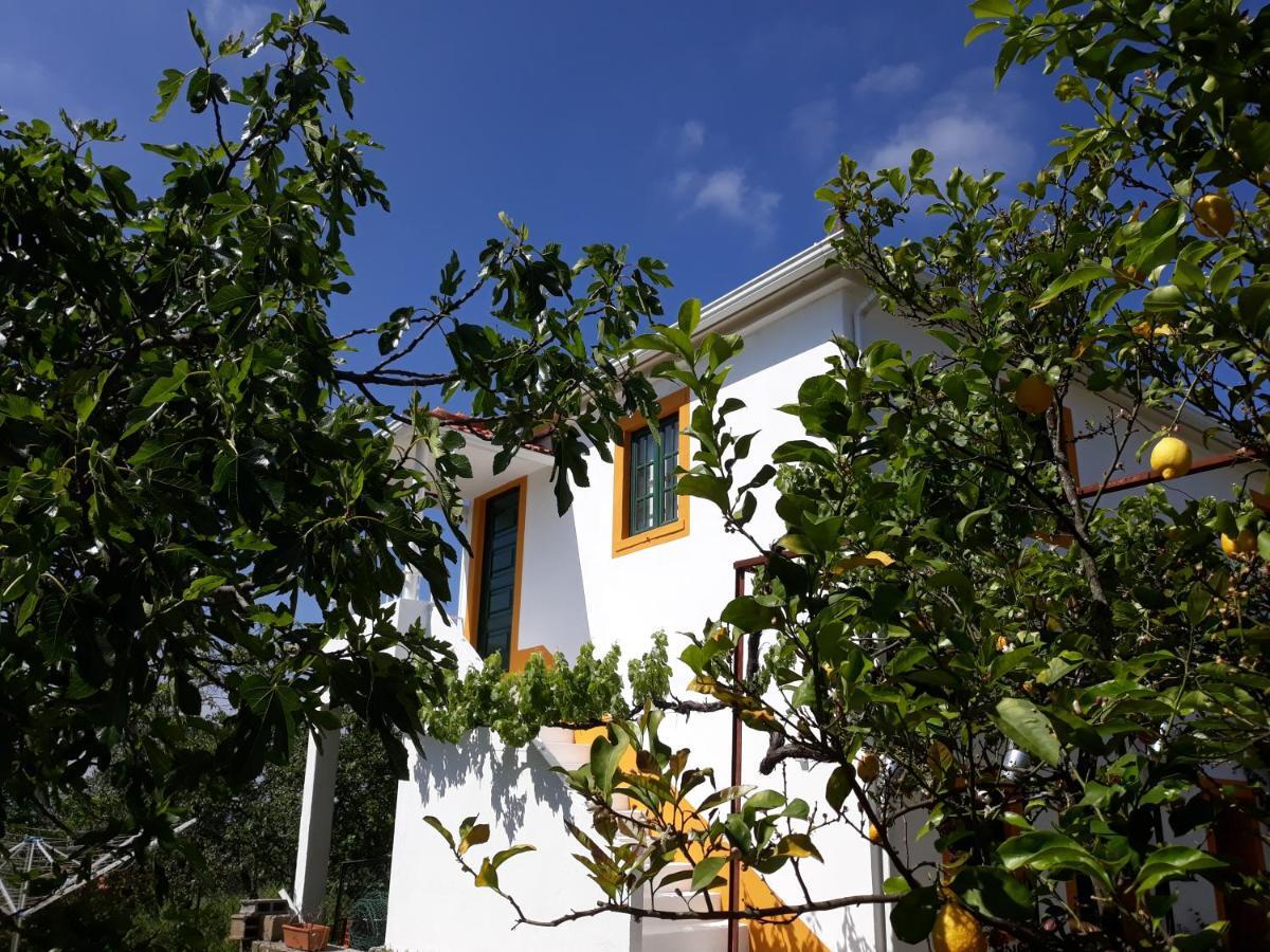 Appartement O Ninho Do Rei à Vila de Rei Extérieur photo
